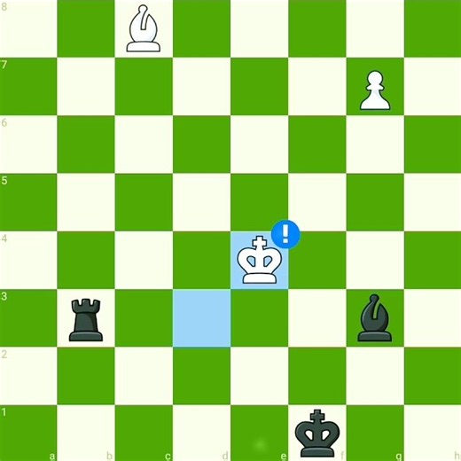 Brilliant Endgame! 🔥♟️ #chess #chesscom #chessgame #shorts