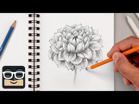How to Draw a Realistic Dahlia | Step by Step Sketch Tutorial