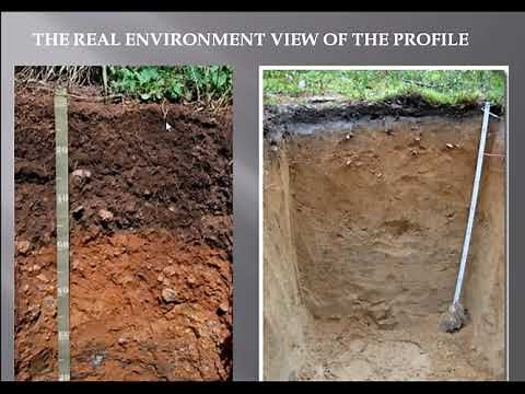 STUDY OF SOILS IN GEOGRAPHY