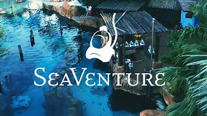 Walk underwater & explore the depths of The Grand Reef with our unforgettable SeaVenture experience. http://bit.ly/2HqZM3l | Discovery Cove