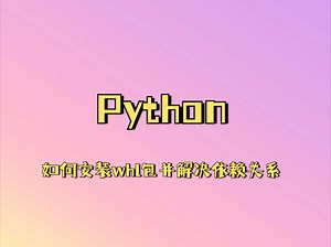 教你如何安装whl包