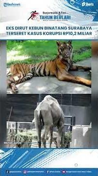 Former Surabaya Zoo Director Implicated in Corruption Case, State Losses Reach IDR 10.2 Billion