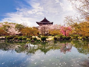 The Best Group Tours to Japan 2025/2026