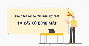 Tả cây bóng mát lớp 4 Hay Nhất