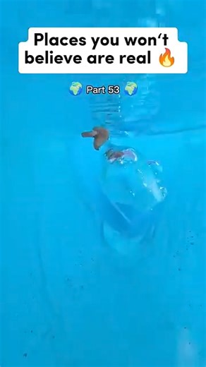 #travelblogger #placestovisit #placestogo #placestostay #travelling #amazingplaces #amazingplacestovisit #beleiveinyourself #placestostay | Daily Updates