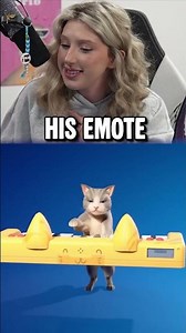 Fortnite Is FINALLY Adding Cats As Sidekicks! 🥰 #fortnite #fortniteclips #gaming #fortnitememes