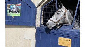 La 1ère jument saillie par Gary du Chênet est pleine