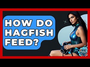 How Do Hagfish Feed? - The Marine Life Explorer
