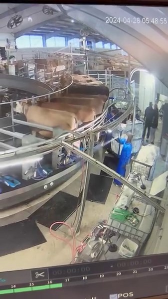 Why is people think that they can just show up at 6:40 am and wonder around on my dairy? | TDF Honest Farming