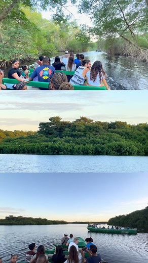 Caroni Swamp & Bird Sanctuary Tour. Unique and beautiful experience in Trinidad which offers the rare sighting of flamingos and its main attraction the Scarlet Ibis along with other species of animals. Book your tour now #visittrinidad #travel #nature #blogger #travelblogger #trinidad #trinidadandtobago #creator #influencer #adventure | Destination Somewhere TT | Facebook