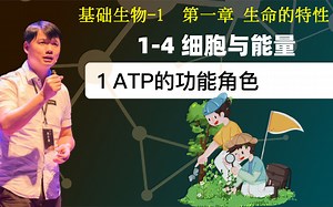 基础生物学 1-4.1 ATP的功能角色_哔哩哔哩_bilibili