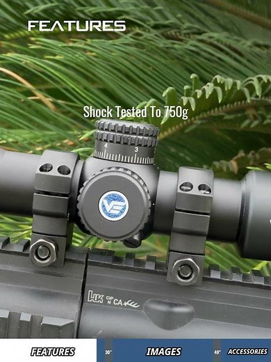 Vector Optics // Veyron 10x44 (SCOM-41) A Must for Your Compact Air Guns and Light Weight Firearms