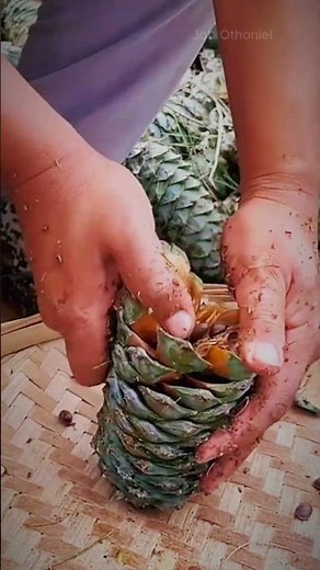 Cómo abrir frutos y sacar semillas sin esfuerzo: ¡Un secreto revelado!