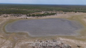 1.3K views · 12 reactions |  WETLAND MONITORING AND MANAGEMENT TOOL...