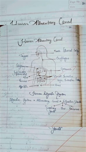 “Class 10 Biology – Life Processes 🧬 | All Important Diagrams ✍️📚