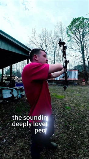 Aerial sentry arrow#funny #knowledge