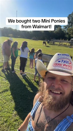 2.9K views · 65 reactions | Bought two Miniature Ponies from Walmart!  #miniponies #Walmart #min | Yasmin Pinto | Facebook