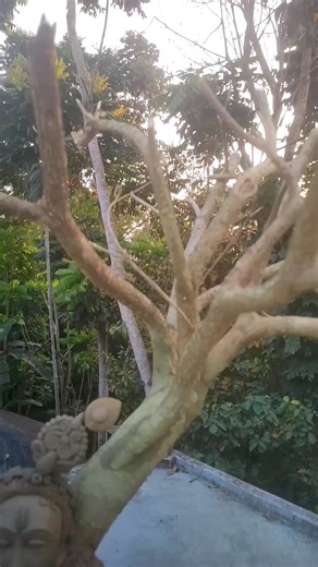 13K views · 237 reactions | A statue of Lord Krishna  made by an artist.  • For more follow & support : The Blend Of Beauty • Credits : @baniks_art (IG) Just DM for removal • #sculpture #statue #art #krishna #kanha #trending #viral #video #shorts #explore #videos #reel #reels #fbreels #art #arts #trending #fb #artist #artsy #krishn #ramayana #krishnaidol #shreekrishna #idol #artwork #clayidols #claycraft #claywork #theblendofbeauty | The Blend Of Beauty | Facebook