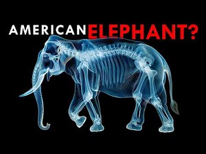 The Elephant Of The Future