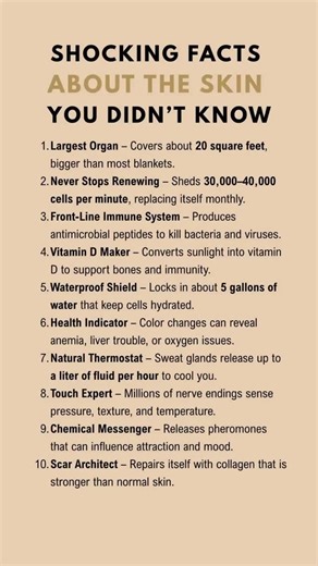 175 reactions · 34 shares | Shocking Health Facts You Didn’t Know About the Skin #holistichealth #holisticmagazine | Holistic Magazine | Facebook