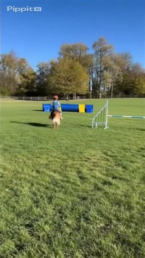 Too Funny To Handle – 100% Certified LOL