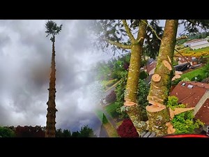 WORST TIMING for Gale Force Winds to Roll In!