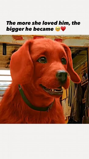 @feel_.it._man on Instagram: "🎬 Clifford the Big Red Dog 2021 ‧ Adventure/Comedy ‧ 1h 36m 📜 Storyline When middle-schooler Emily Elizabeth befriends a magical red puppy named Clifford, she never expects him to grow into a gigantic dog overnight. As Clifford’s size causes chaos across New York City, Emily and her fun-loving uncle Casey go on a wild adventure to protect their oversized friend, discovering that love, kindness, and acceptance can make the world a bigger place for everyone. 🎞️ Tit