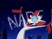 Pinky and the Brain - Just Say Narf