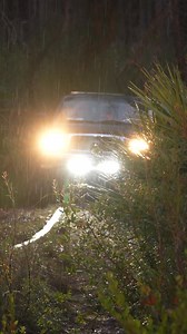 It's almost time... Don't watch this if you're not excited about deer season🦌 Check out the full video! | BackWoods Mafia