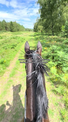 The Joy of Galloping: An Unforgettable Experience
