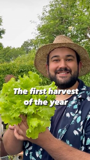 73K views · 54K reactions | Today we are back and I am showing you...