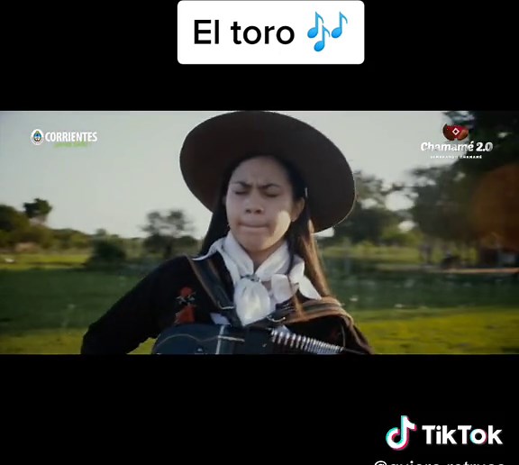 Chamamé El Toro Pampa Tutorial: Cómo Bailar y Disfrutar del Chamamé