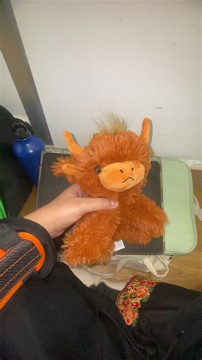 Introducing our club mascot ✨Scott Ball✨ Our lovely highland scottish cow that we won at a pinball game, but now promoted to Archery Club Mascot. Forever an icon at our club 😙 #clubmascot #archery #cute #arrows #uniclub