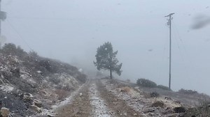 37K views · 1K reactions | Here's a look at conditions at the highest peak in the Santa Cruz Mountains. The strongest storm of the season is expected to slam the region with flooding rain and even snow next week. https://abc7ne.ws/2Y797Uc | ABC7 News | Facebook