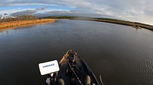 We were SURROUNDED by These TASTY Fish ** CATCH CLEAN COOK** | Southern Salt Fishing