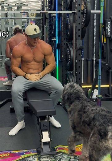 The Benefits of Gym Therapy with Dogs