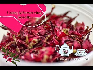How to use and preserve Red Roselle - Part 1