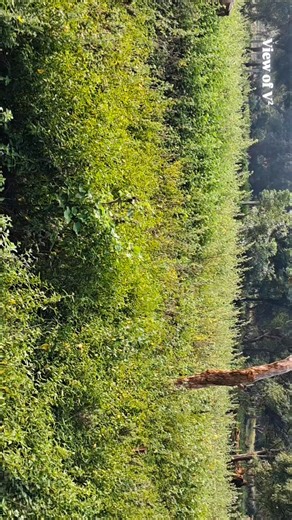 cuo_imagery V² on Instagram