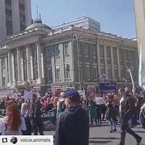 1.9K views · 108 reactions | Dozens of animal rights organizations took part in the Moscow 2019 anual march for animals rights. Credit: Sofia Madjitov | Animal Liberation Worldwide | Facebook