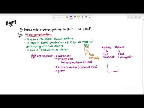 Botany Free Tuition Grade 12 | Smart Academy | Class 12 Biology Preparation Nepal