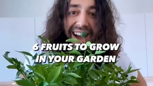 122K views · 4.6K reactions | 6 Tropical Fruits that you can plant in your garden this year! 朗 . . . #plants #garden #gardening #lifehacks #diy #howto #kitchenhacks #recycle #upcycle #hacks #creativeexplained #vegan #plantbased #tropical | creative explained | Facebook