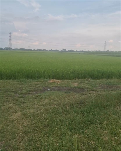 This is the real rural Thailand | Thailand Bound