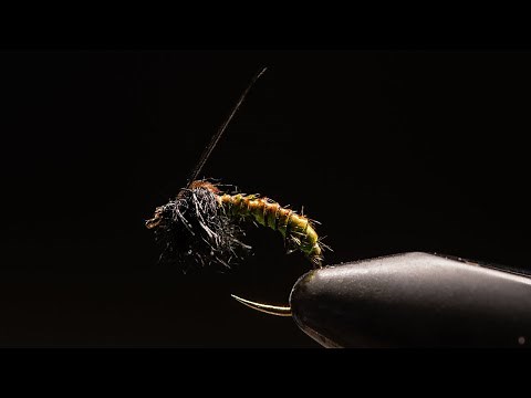 Simple Semi-Realistic Caddis Fly Pattern.