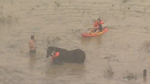 See video of 'life-threatening' floods in Australia