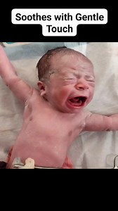 Cutest Newborn Baby Soothes with touch #adorablbabies #cutebabies #adorablebabies #beautifulbabies #babies #newborns #firstcry #cutebabiesvideo | After Birth