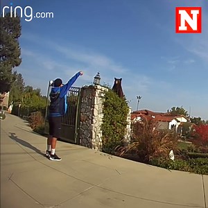 2.9K views · 20 reactions | Footage shows the drivers reaction to coming face to face with the predator. Read more: https://www.newsweek.com/amazon-driver-bear-face-off-video-ring-1671114 | Newsweek | Facebook