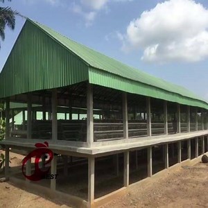 12K views · 57 reactions | How to have a modern poultry farm? 1. Freely visiting your land and design chicken house, supply chicken cage, poultry equipment and birds. 2. Training lesson of 90% egg production rate. Call +2348111199996 now or whatsapp. Email to sales@bestchickencage.com. Visiting www.bestchickencage.com. Since 2009. | Best chicken cage and equipment for poultry farm | Facebook
