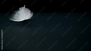 Feather of bird moves from the air flow on background. Super slow motion video concept in extreme macro details. Background for music video or as illustration of life path. Place for text. Copy space