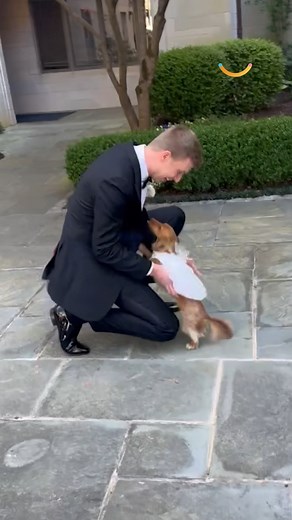 272K views · 5K reactions | This groom had the biggest little surprise during his first look  | Happily | Facebook