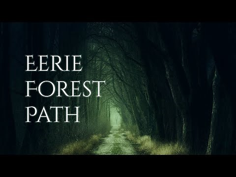 EERIE FOREST PATH Ambience and music | dark forest ambience with atmospheric music #ambientmusic